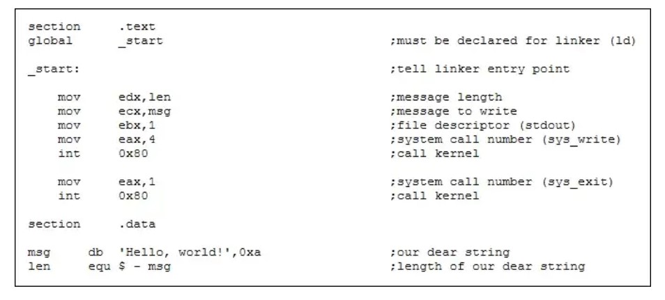 best programming language for cyber security- Assembly