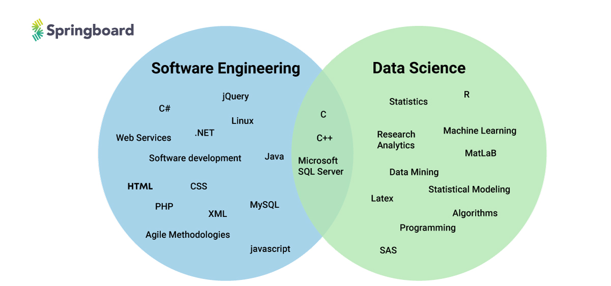 What is software engineering - data scientist vs software engineer