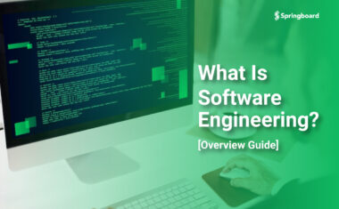 what is software engineering