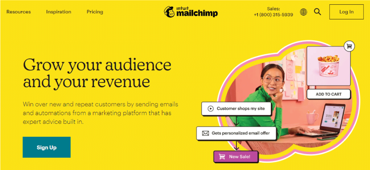 how to get into marketing without a degree- mailchimp 