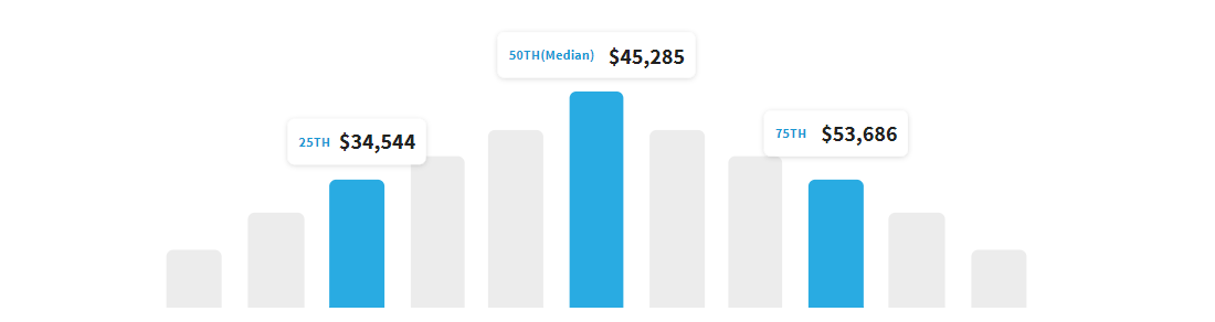 entry level data analyst salary in Netherlands in US dollars