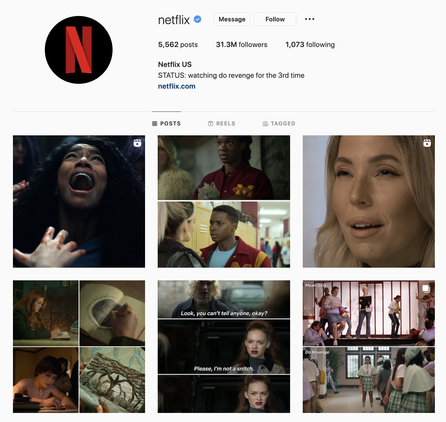 Social Media Manager Skills - Instagram page - Netflix