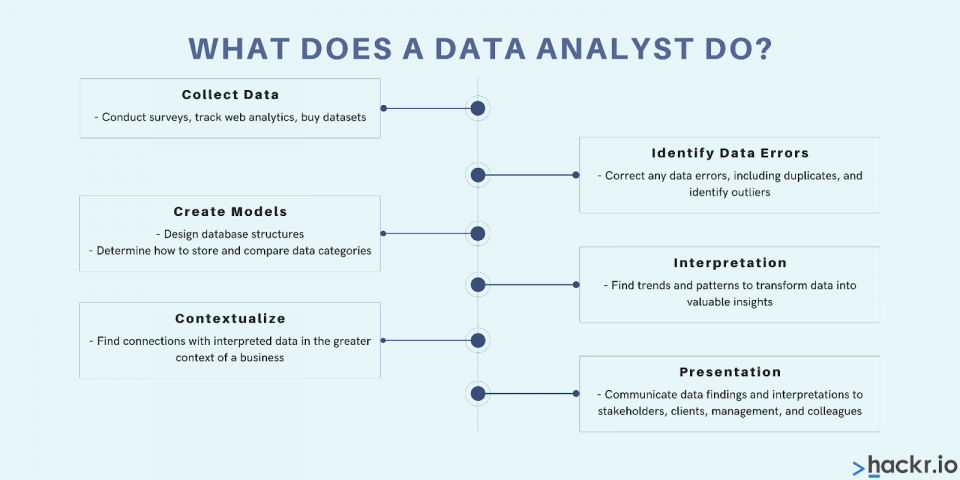 Data Analyst vs. Data Scientist - What does data analyst do? 