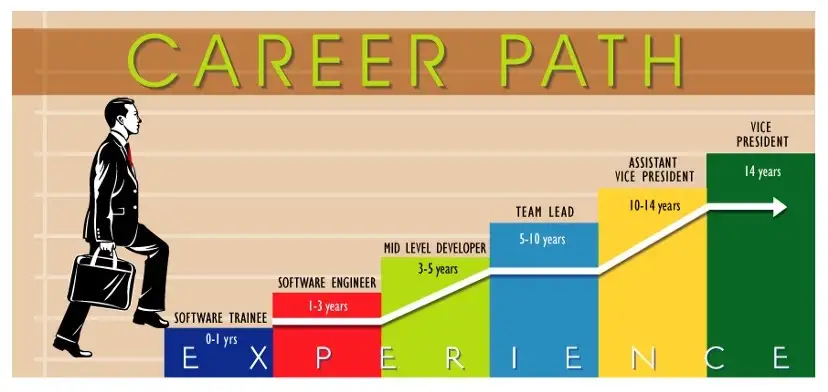 computer science vs. software engineering, What’s a Typical Career Path for a Software Engineer